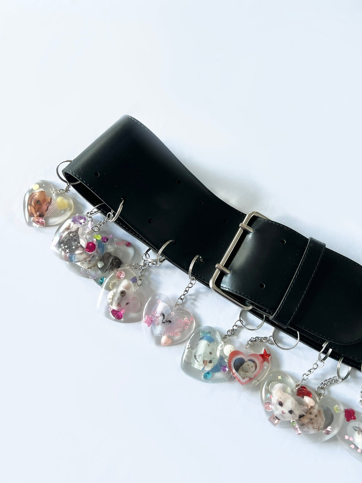 PETS BELT