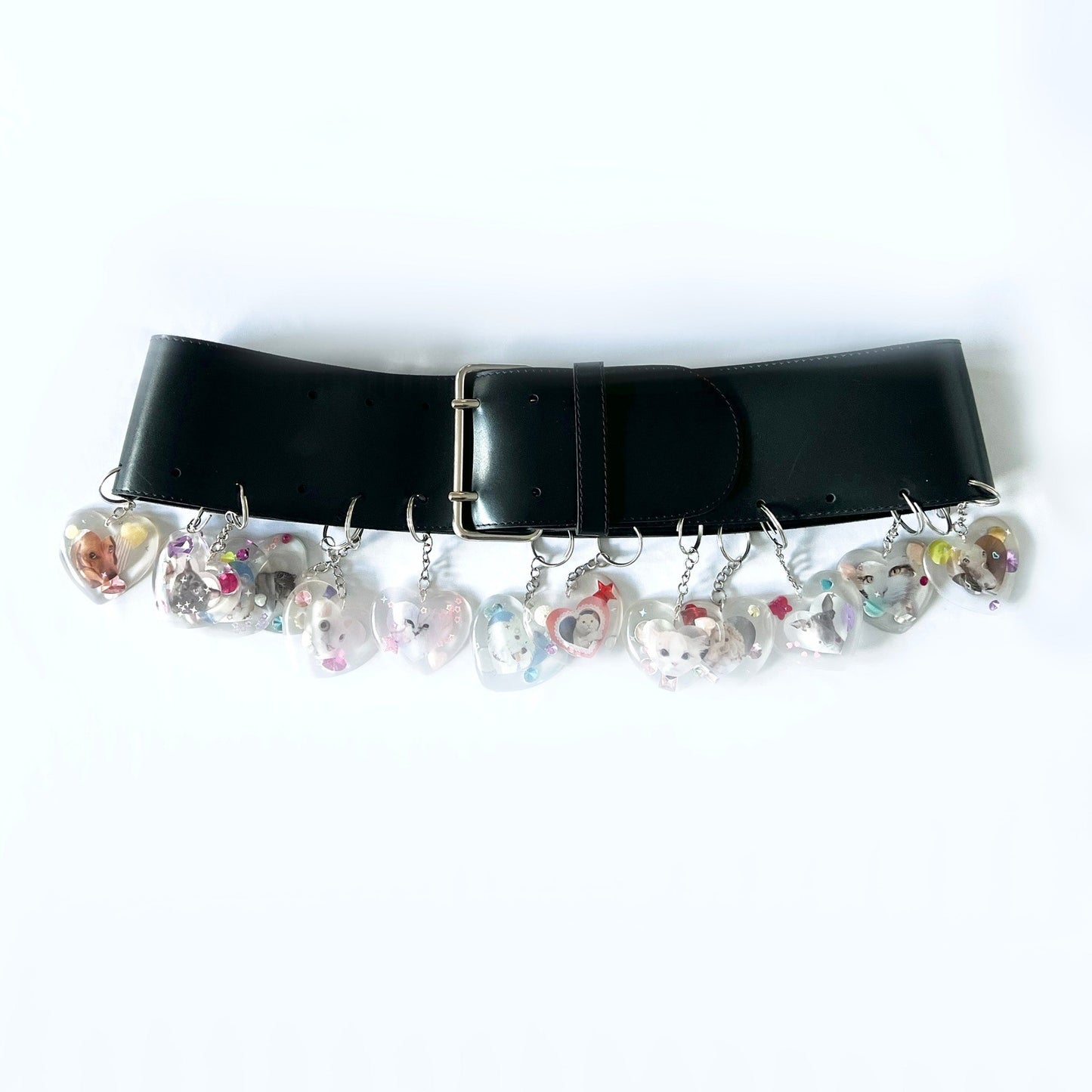 PETS BELT