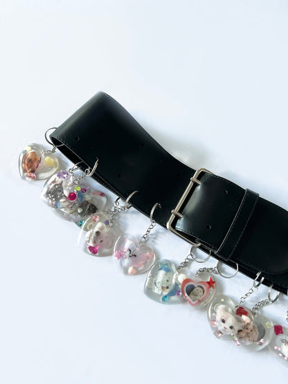PETS BELT